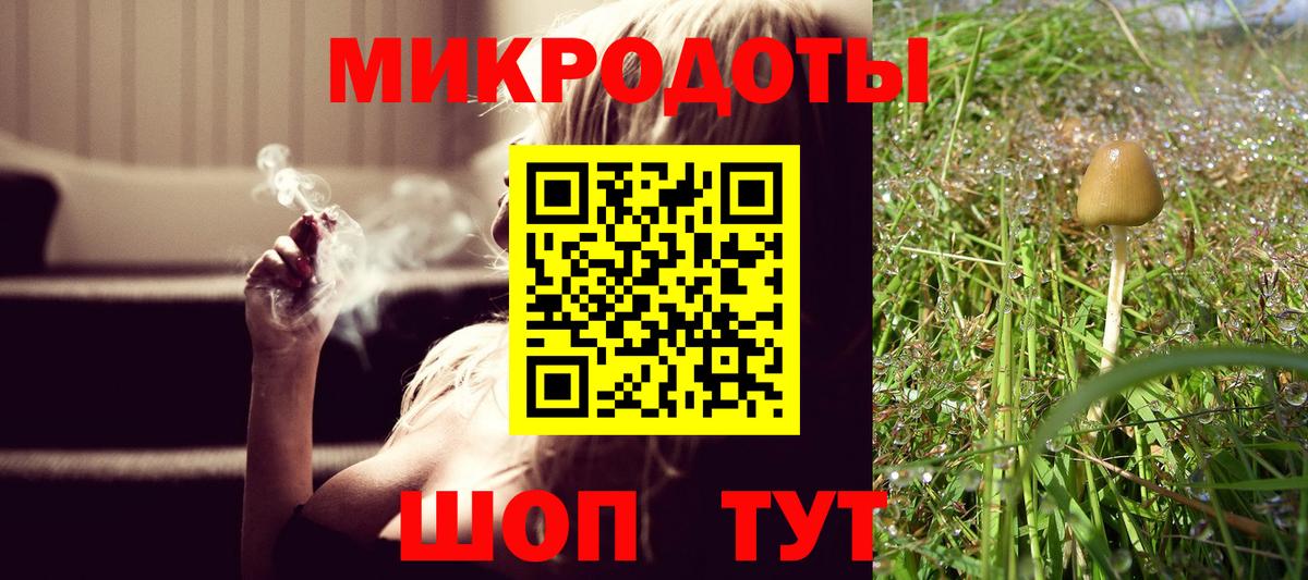 Ростов-на-Дону  Псилоцибиновые грибы Psilocybe  Вход с VPN 