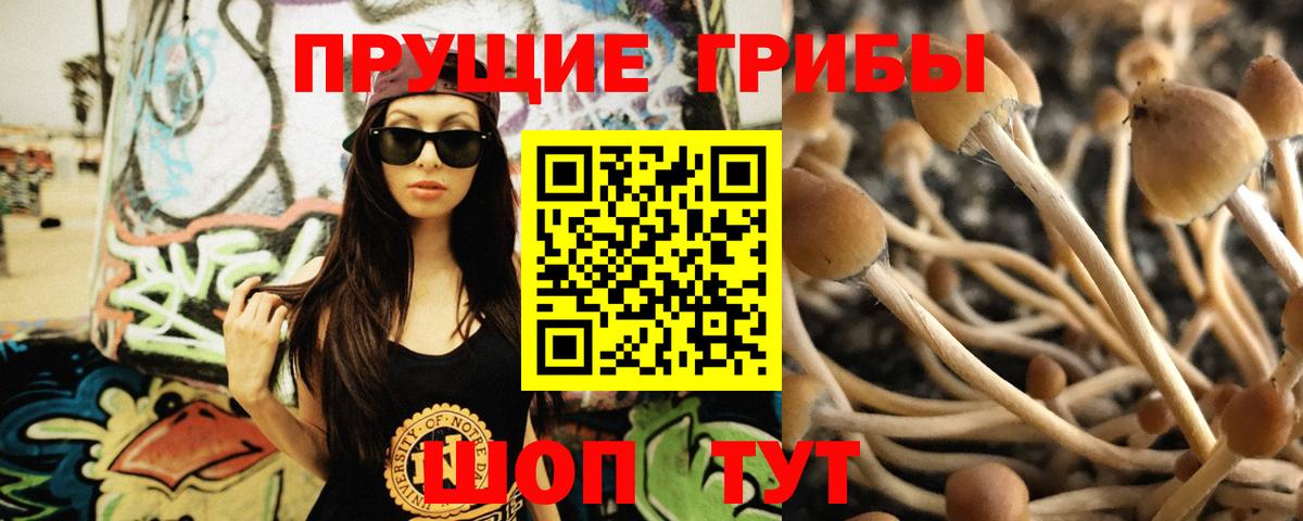 Галлюциногенные грибы Cubensis Ростов-на-Дону