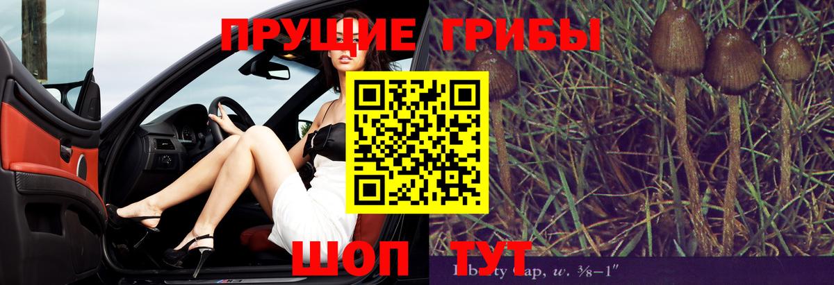 Галлюциногенные грибы мицелий  Ростов-на-Дону 