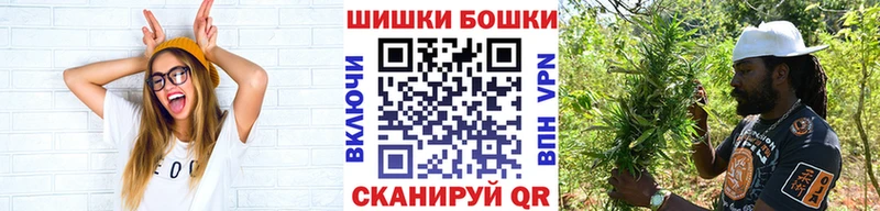 где можно купить   Ростов-на-Дону  Марихуана гибрид 